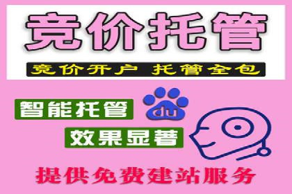 SEM竞价开户策略：案例解析与优化